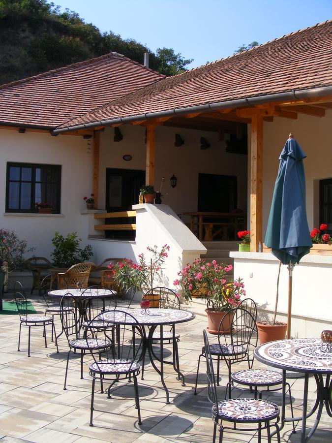 Erzsebet Pince Apartamento Tokaj Exterior foto